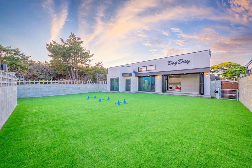 Taean Dog Day Pet Pool Villa Exterior foto