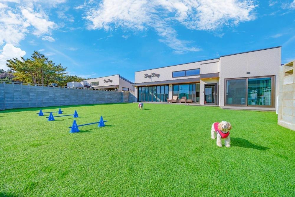 Taean Dog Day Pet Pool Villa Exterior foto